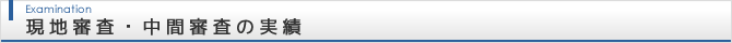 現地審査・中間審査の実績